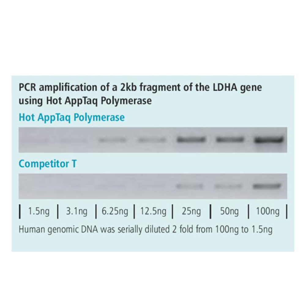 Picture of Hot AppTaq Polymerase, 1000 units